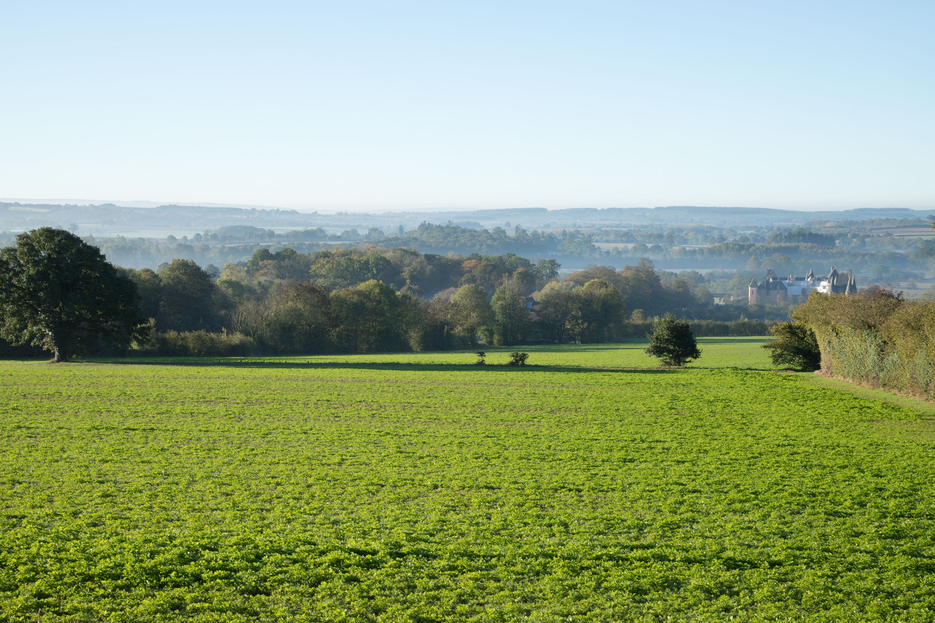 175 CENTIMÈTRES 70DES césar cesar elias gabriel brunel Girard Maslin Epoudry Cretté Ropponen Ihalainen Lindfors Otra Huotari Loisenpoikaart paris france 