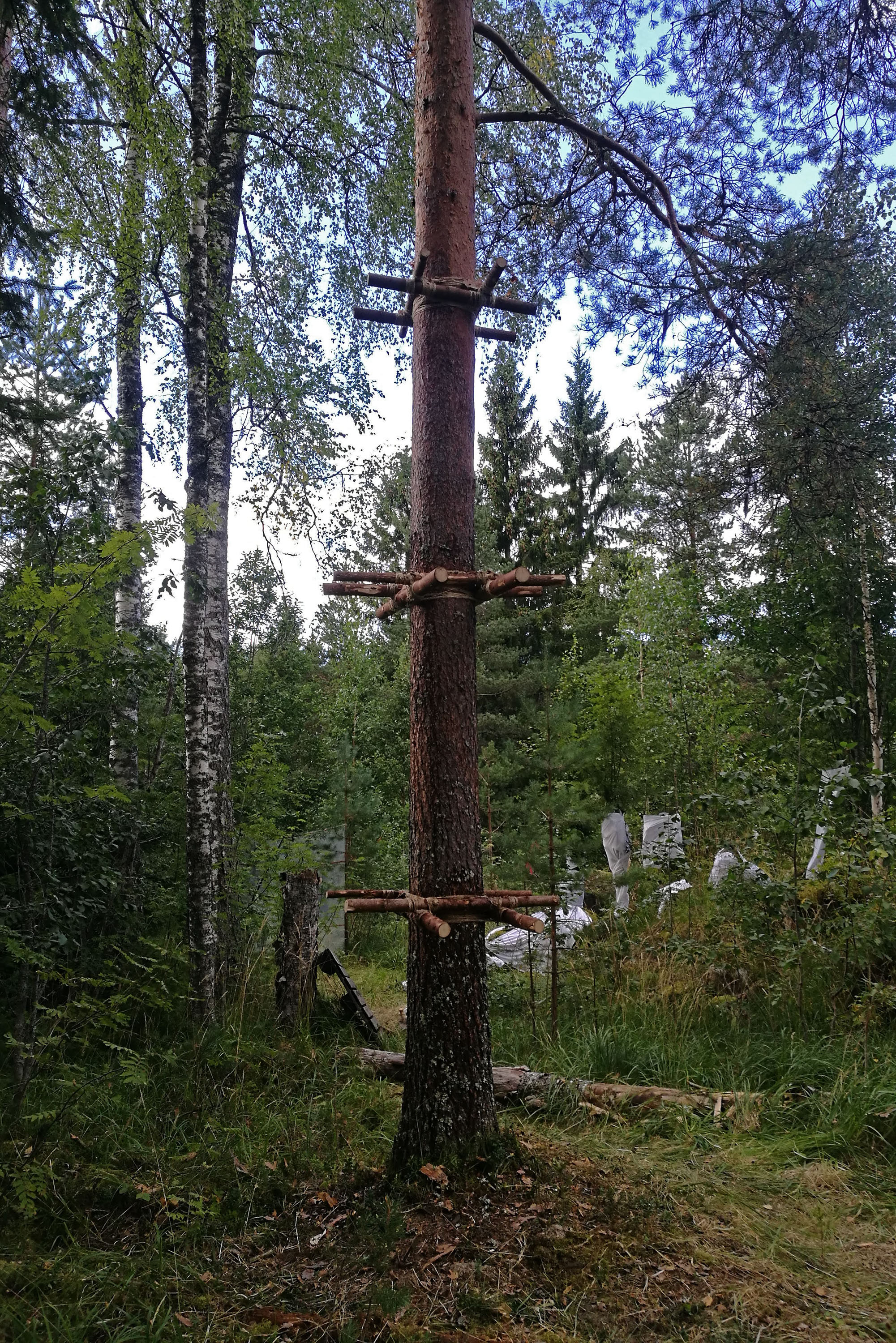 O WORM SUPREME 70DES césar cesar elias gabriel brunel Girard Maslin Epoudry Cretté Ropponen Ihalainen Lindfors Otra Huotari Loisenpoikaart paris france 