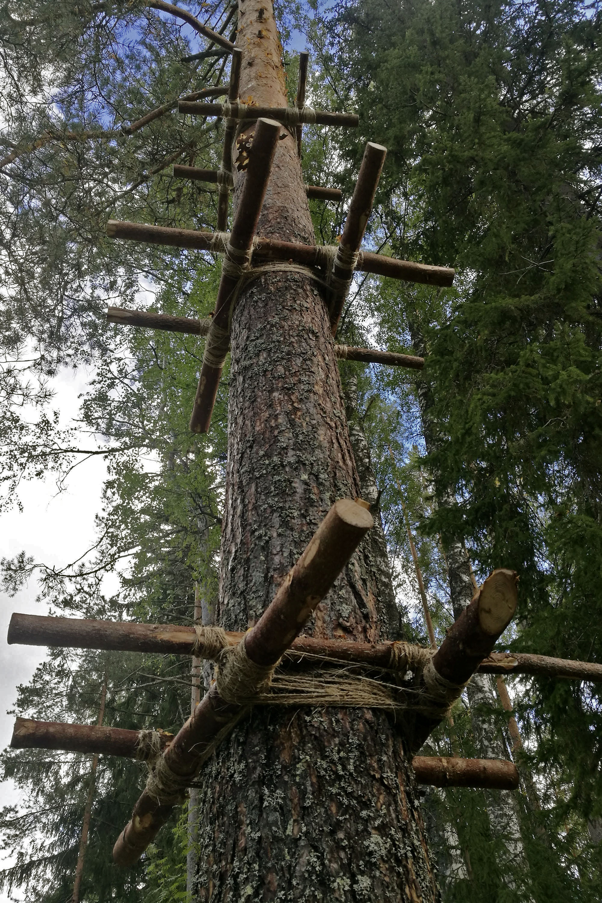 O WORM SUPREME 70DES césar cesar elias gabriel brunel Girard Maslin Epoudry Cretté Ropponen Ihalainen Lindfors Otra Huotari Loisenpoikaart paris france 