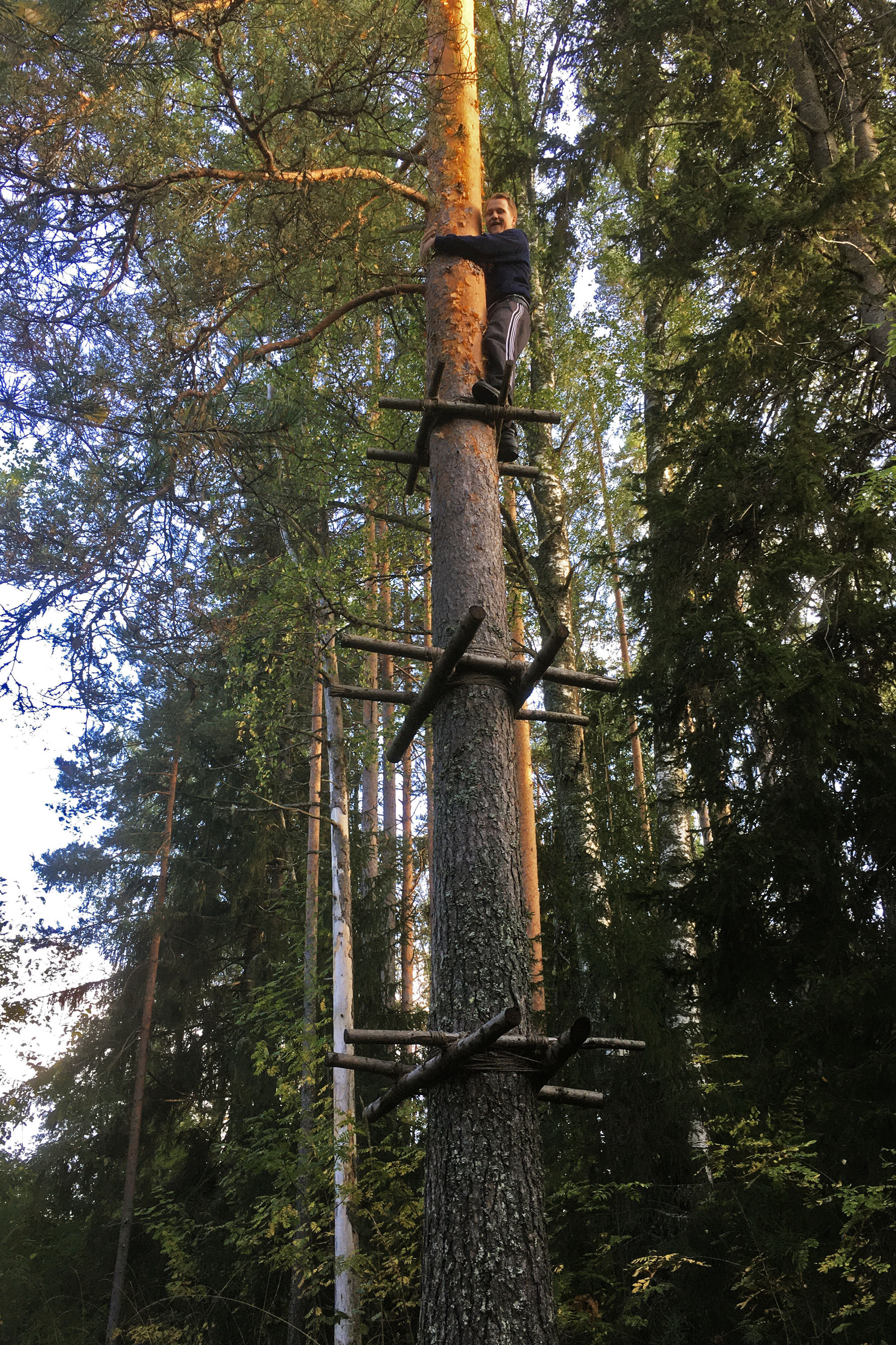 O WORM SUPREME 70DES césar cesar elias gabriel brunel Girard Maslin Epoudry Cretté Ropponen Ihalainen Lindfors Otra Huotari Loisenpoikaart paris france 