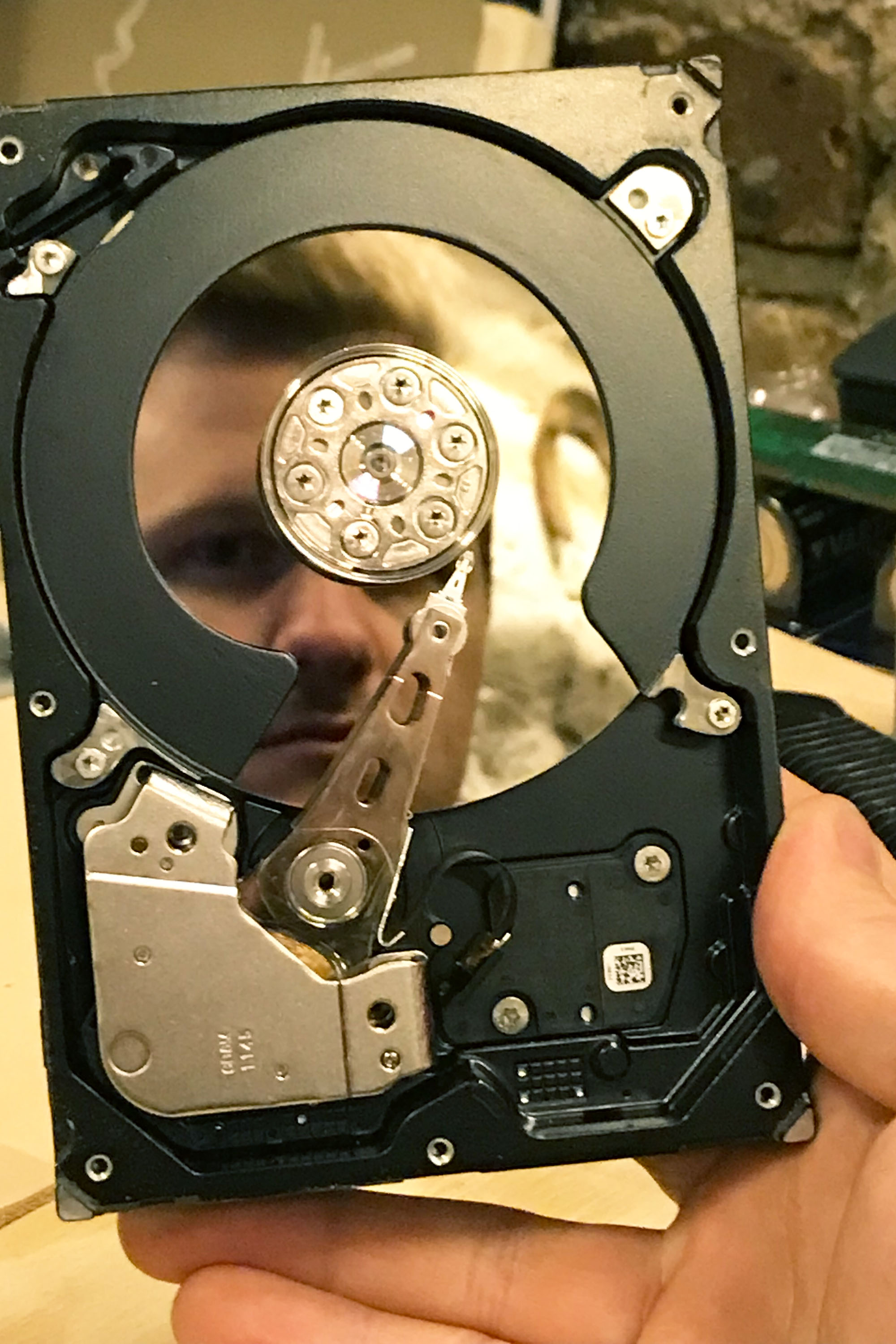 SUNNY CHICORY 70DES césar cesar elias gabriel brunel Girard Maslin Epoudry Cretté Ropponen Ihalainen Lindfors Otra Huotari Loisenpoikaart paris france 