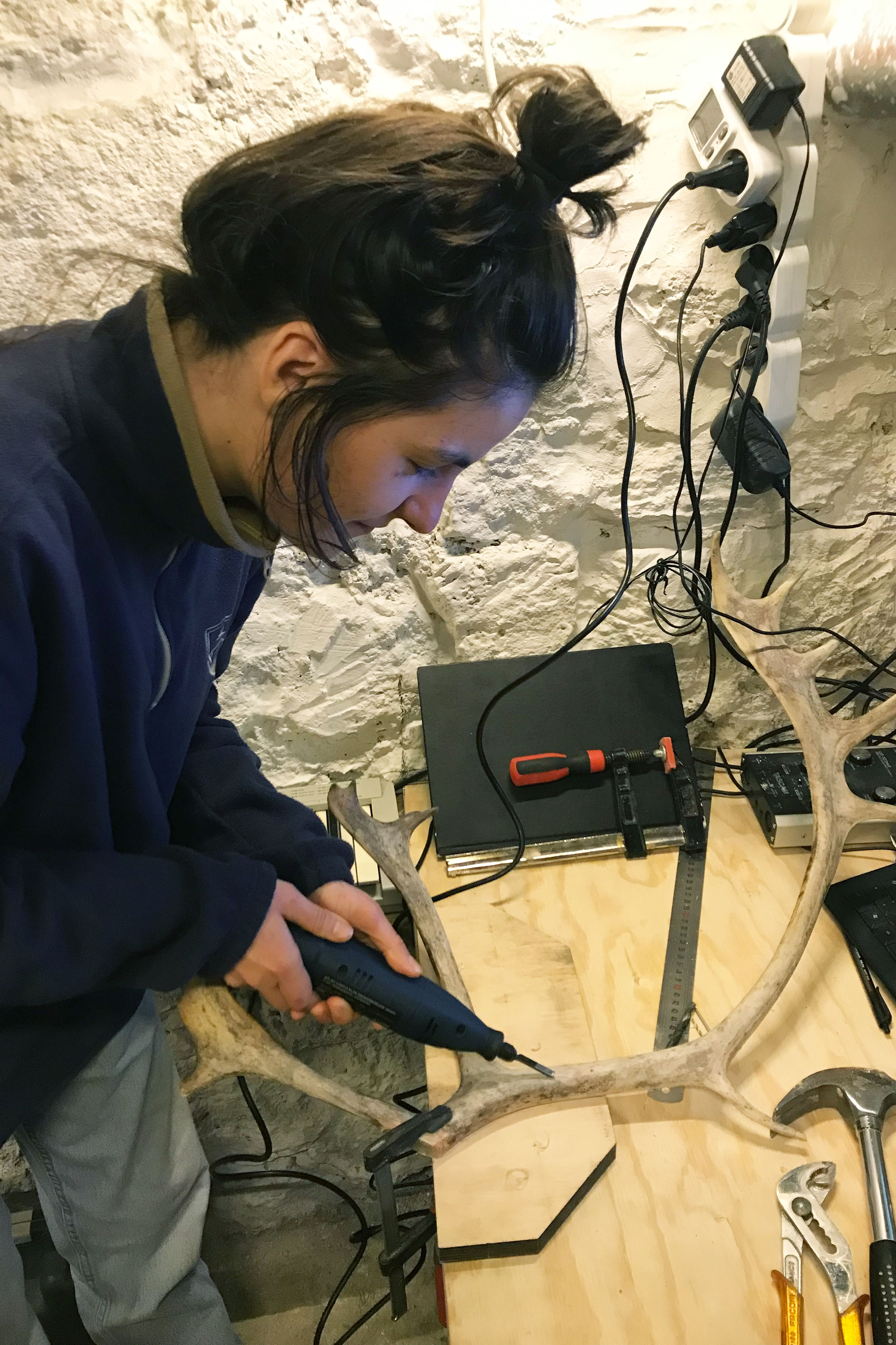 SUNNY CHICORY 70DES césar cesar elias gabriel brunel Girard Maslin Epoudry Cretté Ropponen Ihalainen Lindfors Otra Huotari Loisenpoikaart paris france 